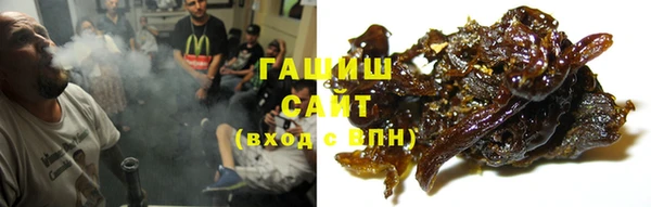 PSILOCYBIN Бородино